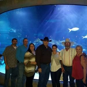 Meet your Posher, Marie